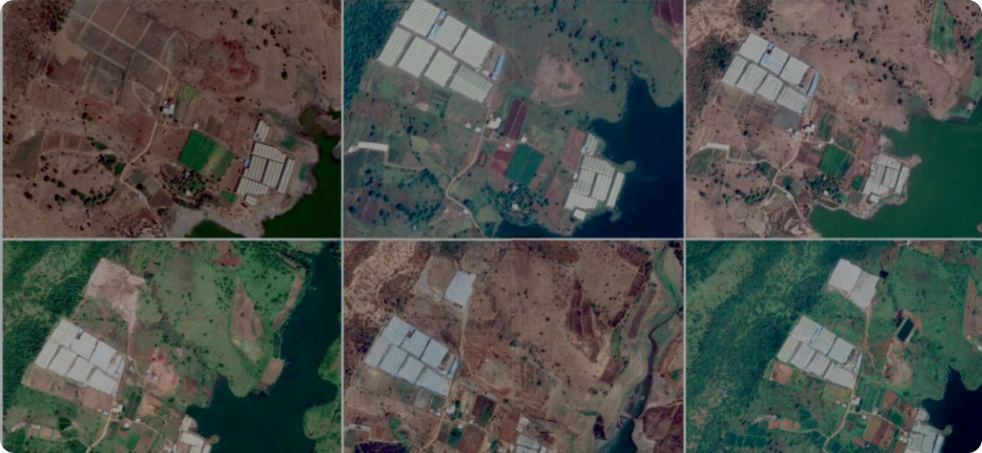 Environmental Stewardship