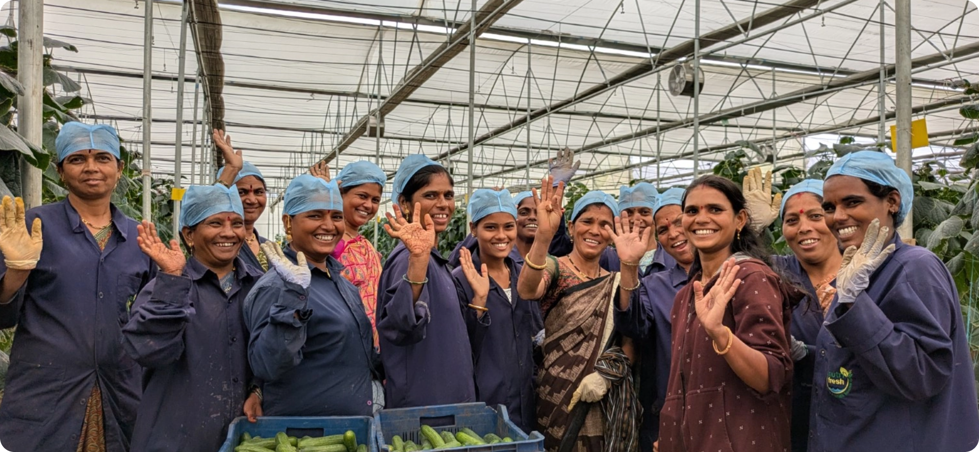 Social Responsibility