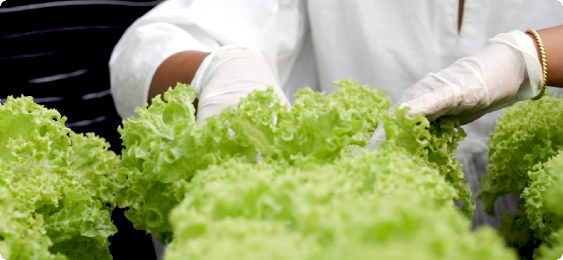 Governance and Integrity